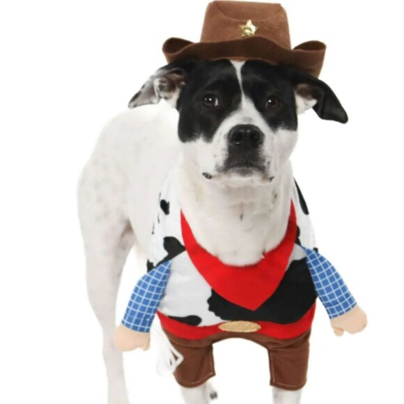 Other - Vibrant Life Halloween Dog Costume and Cat Costume: Cowboy, Size M (NEW)